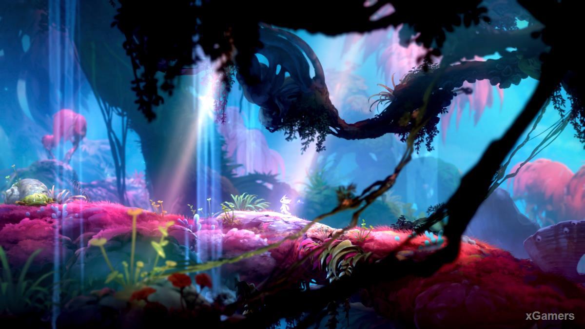 Ori and the Will of the Wisps Карта | Упрощение исследования